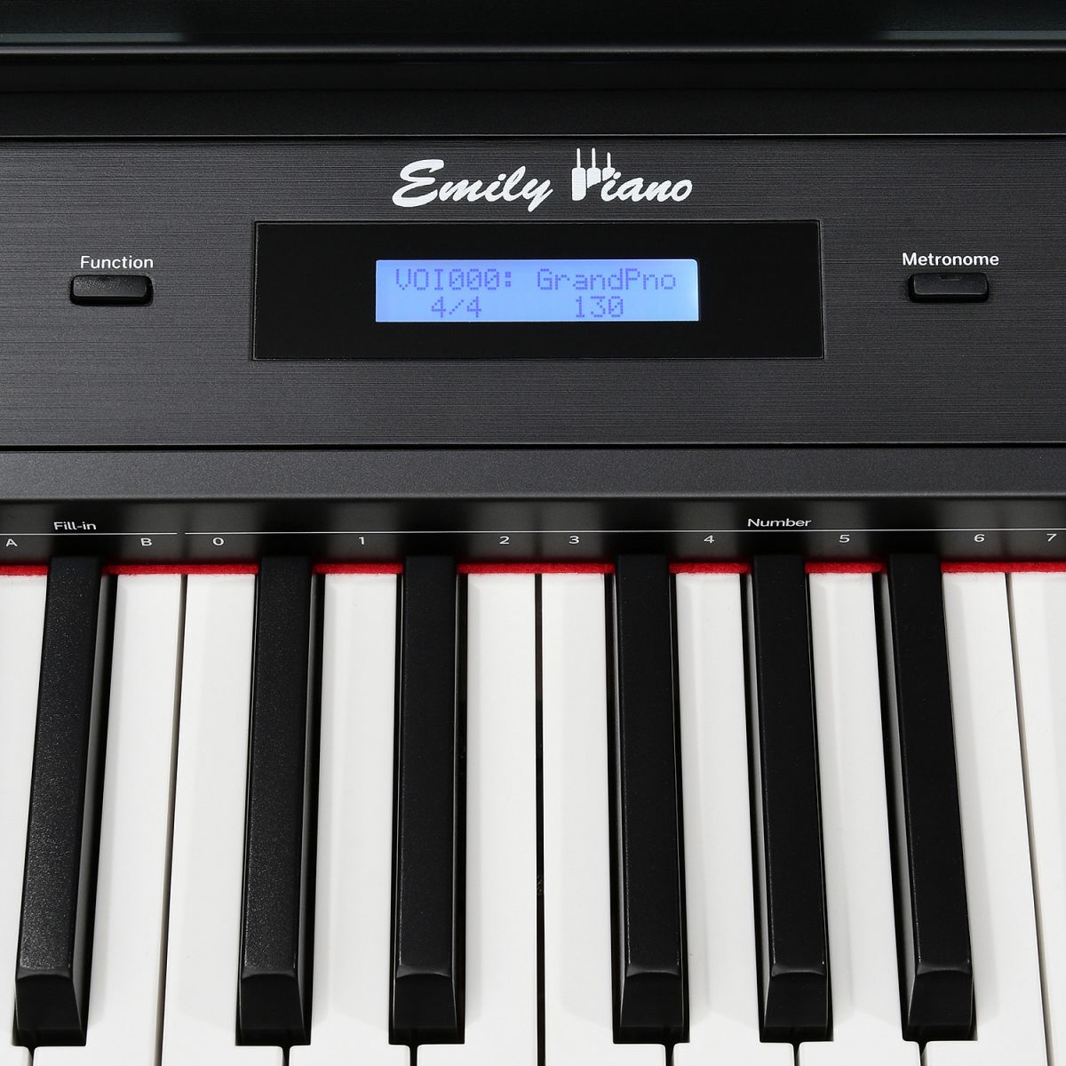 Цифровое пианино EMILY PIANO D-22 BK