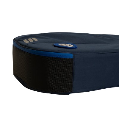 Чехол для акустической гитары RITTER RGC3-D/ABL