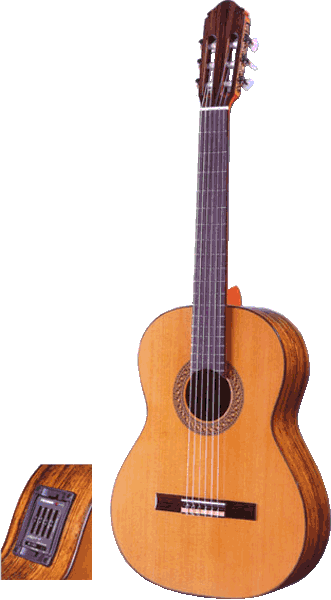Классическая гитара M.Fernandez MF20-E
