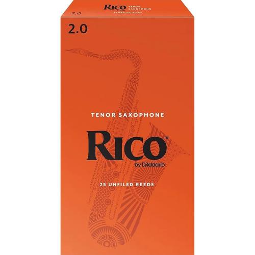 Трости Rico RKA2520