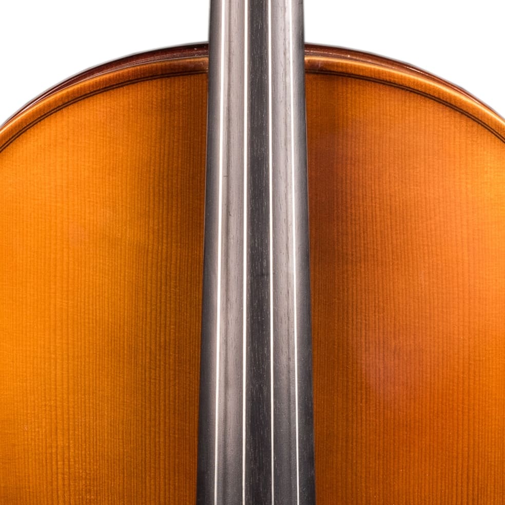 Виолончель Hora C100-1/2 Student All Solid