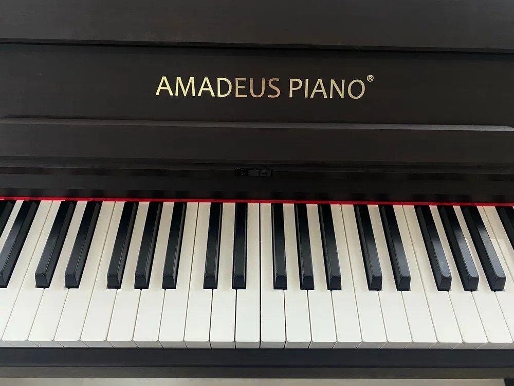 Цифровое пианино Amadeus piano AP-800 black