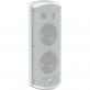 Громкоговоритель Turbosound TCI-53-T-WH