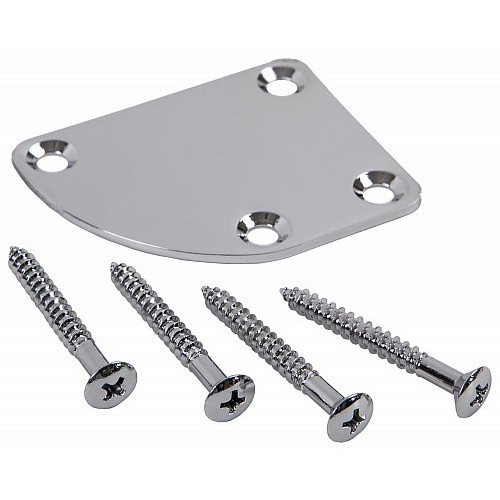 Крепёж для грифа Dr.Parts NP2/CR