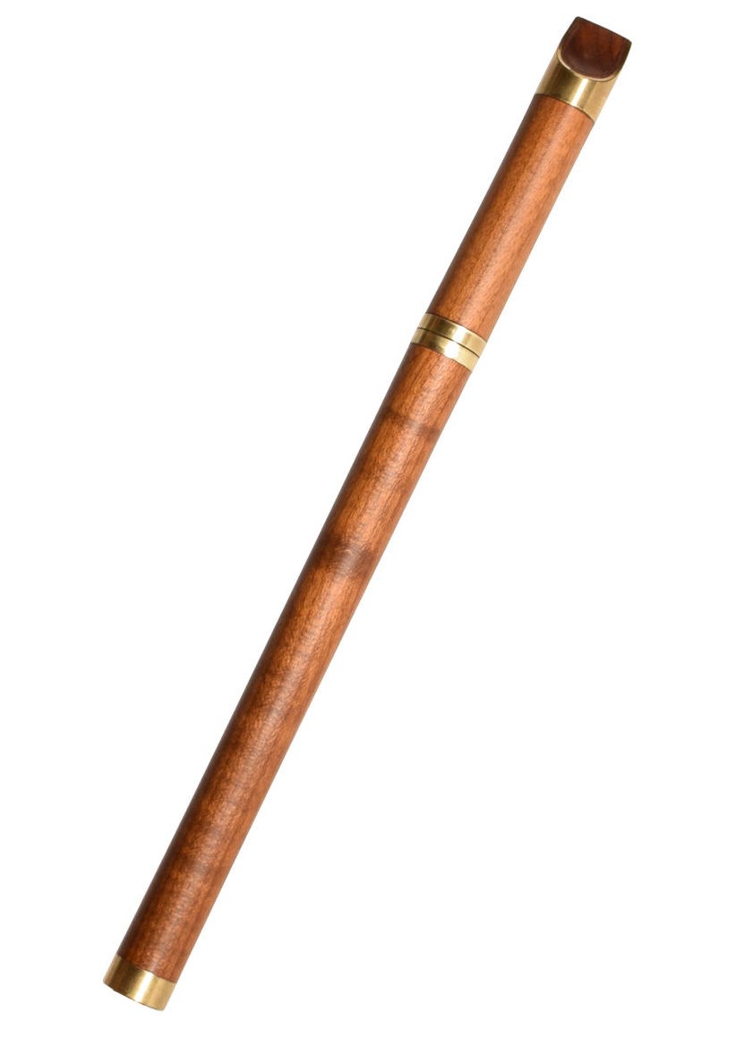 Вистл iVolga VEbC-01