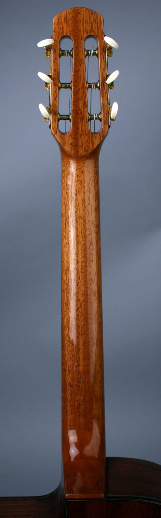Акустическая гитара ALTAMIRA M10 D