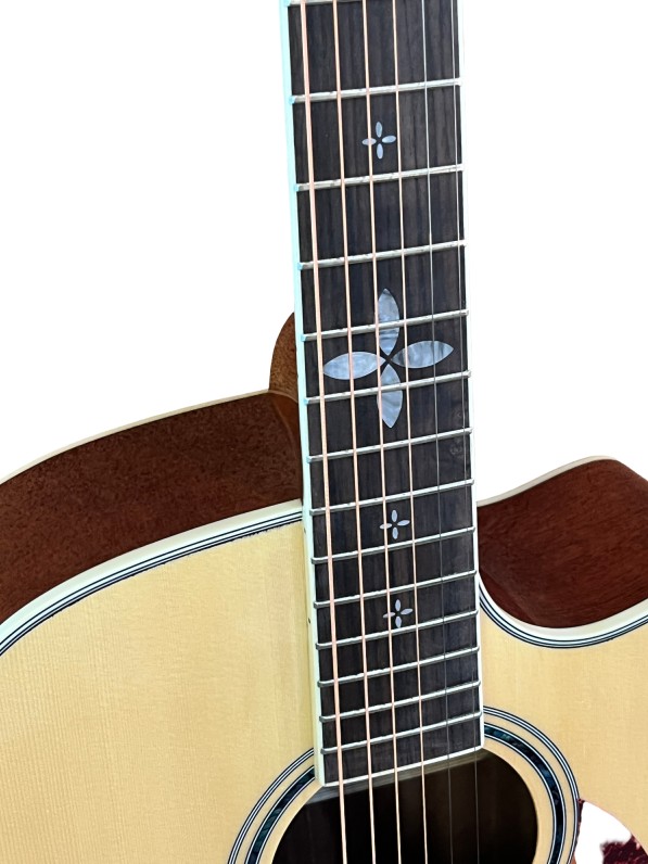 Акустическая гитара BULLFIGHTER D2XA Natural With bag