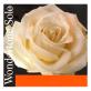 Струны для скрипки PIRASTRO 410021 Wondertone Solo