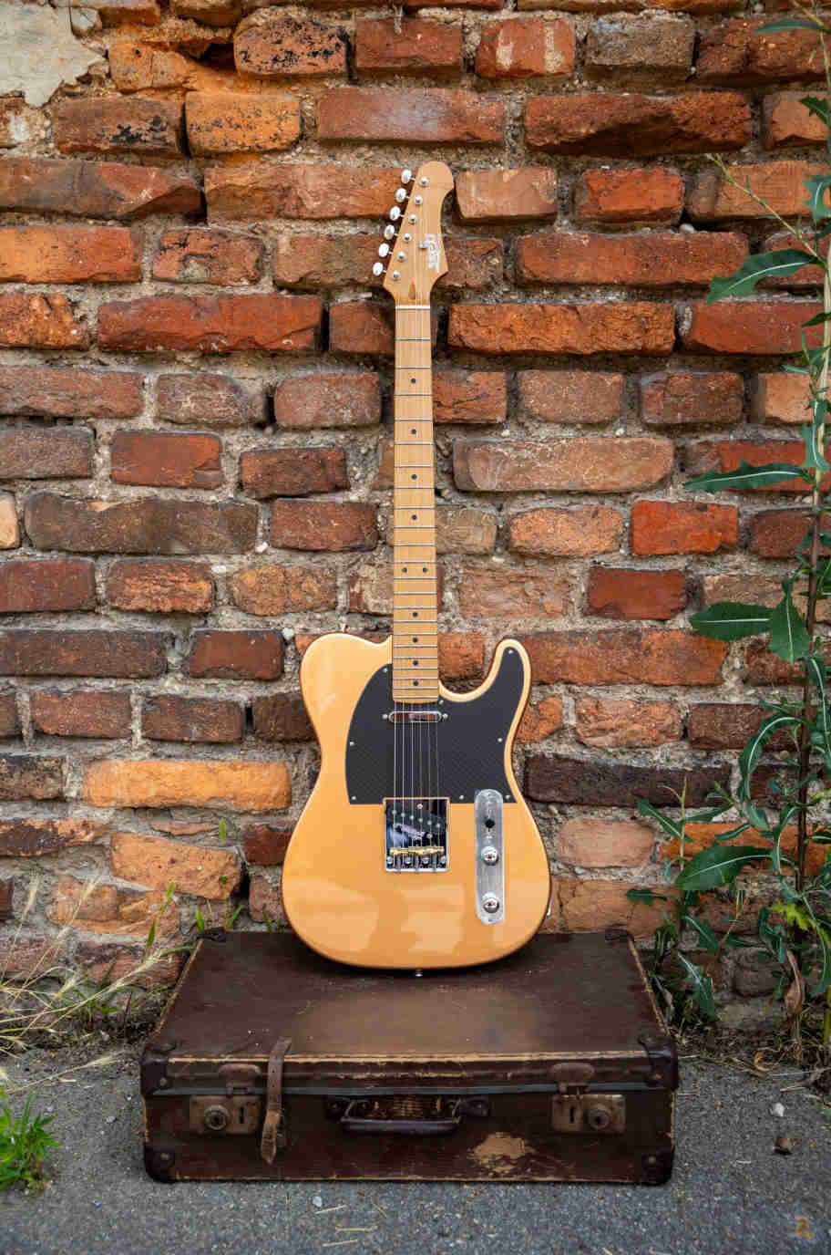 Электрогитара JET JT-30 Gold