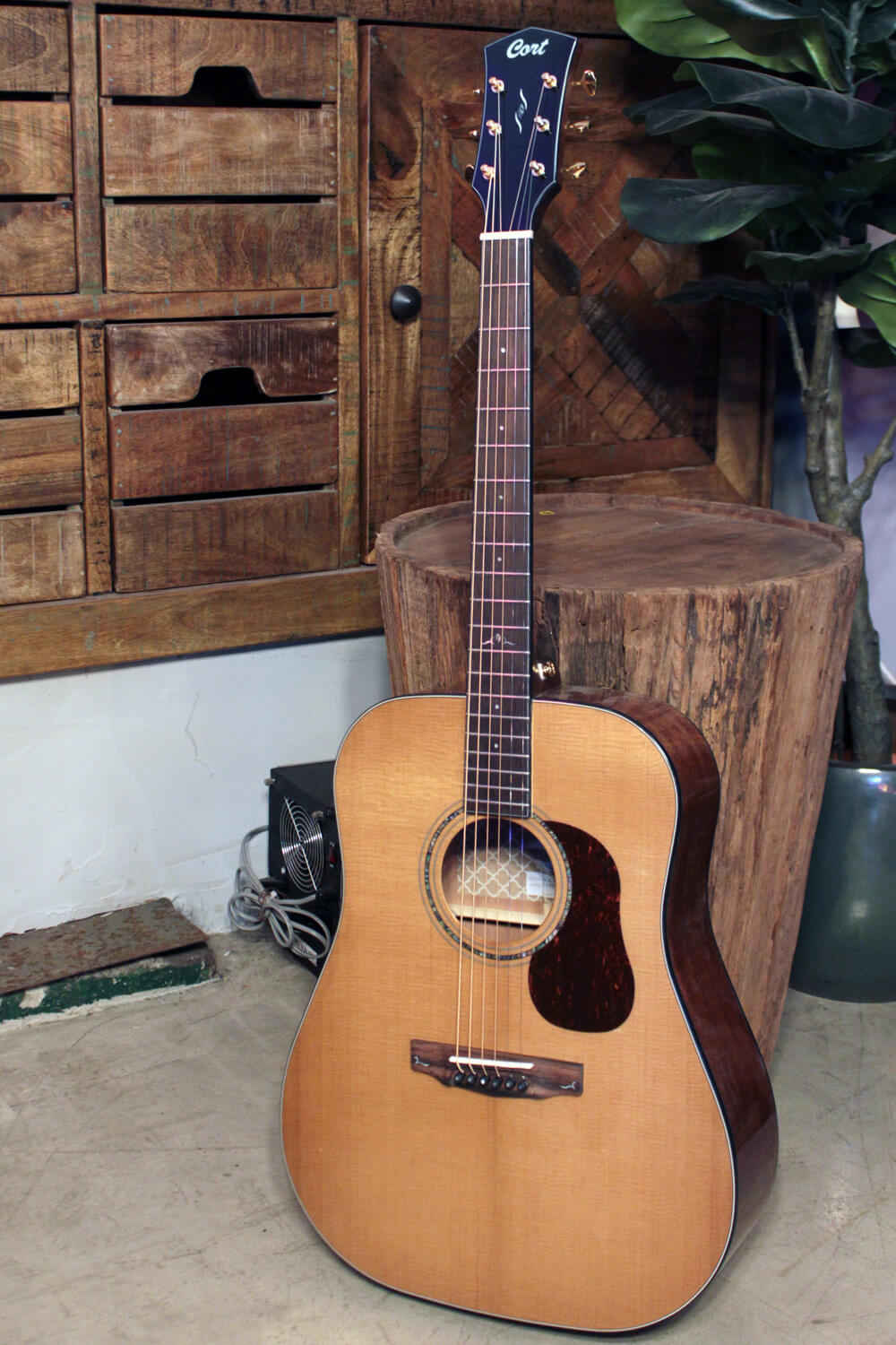 Акустическая гитара Cort GOLD-D6-WCASE-NAT Gold Series