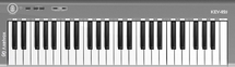 MIDI клавиатура Axelvox KEY49j grey