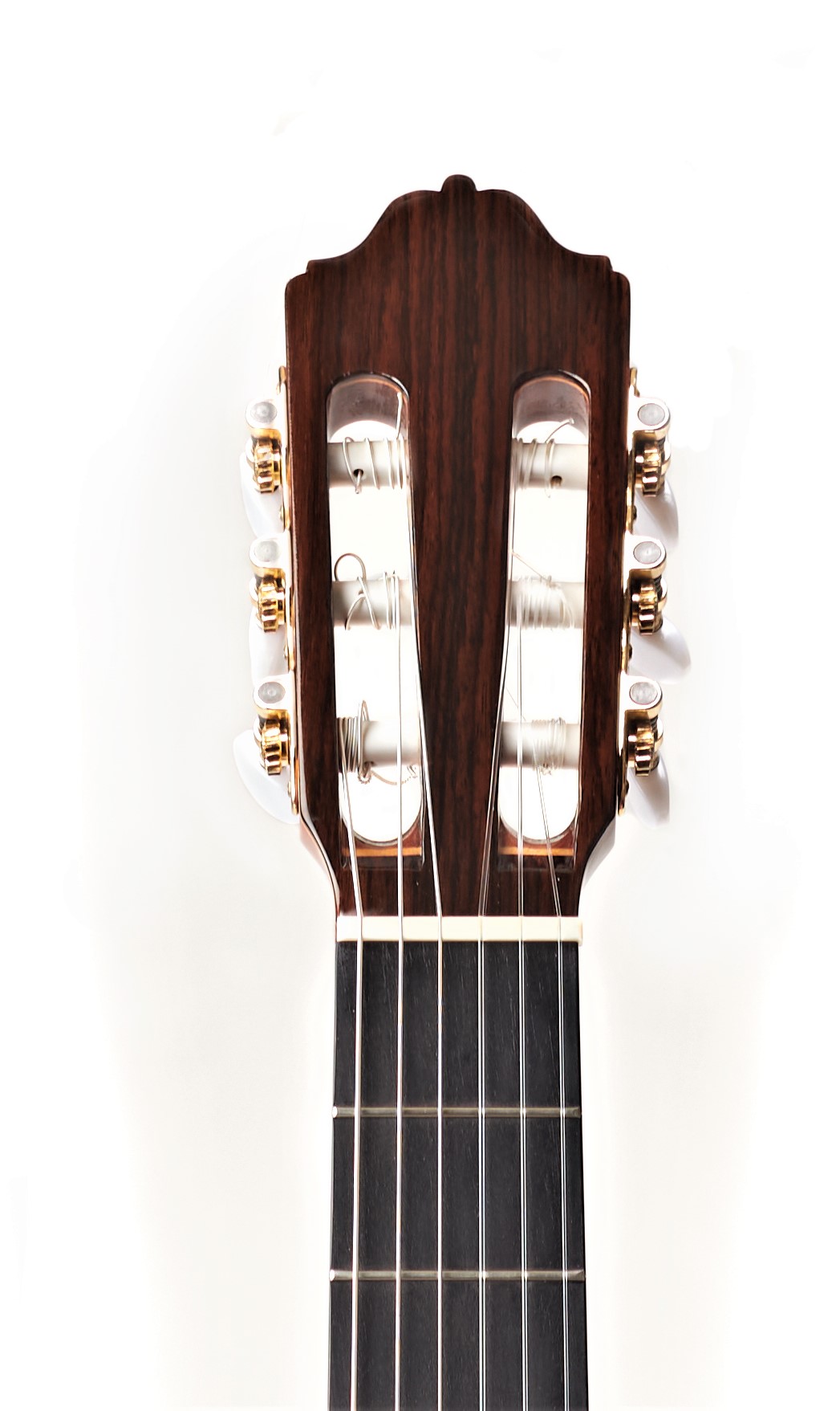 Классическая гитара Esteve 9C/B CD + кейс