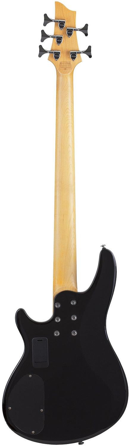 Бас-гитара Schecter C-5 Plus STCB