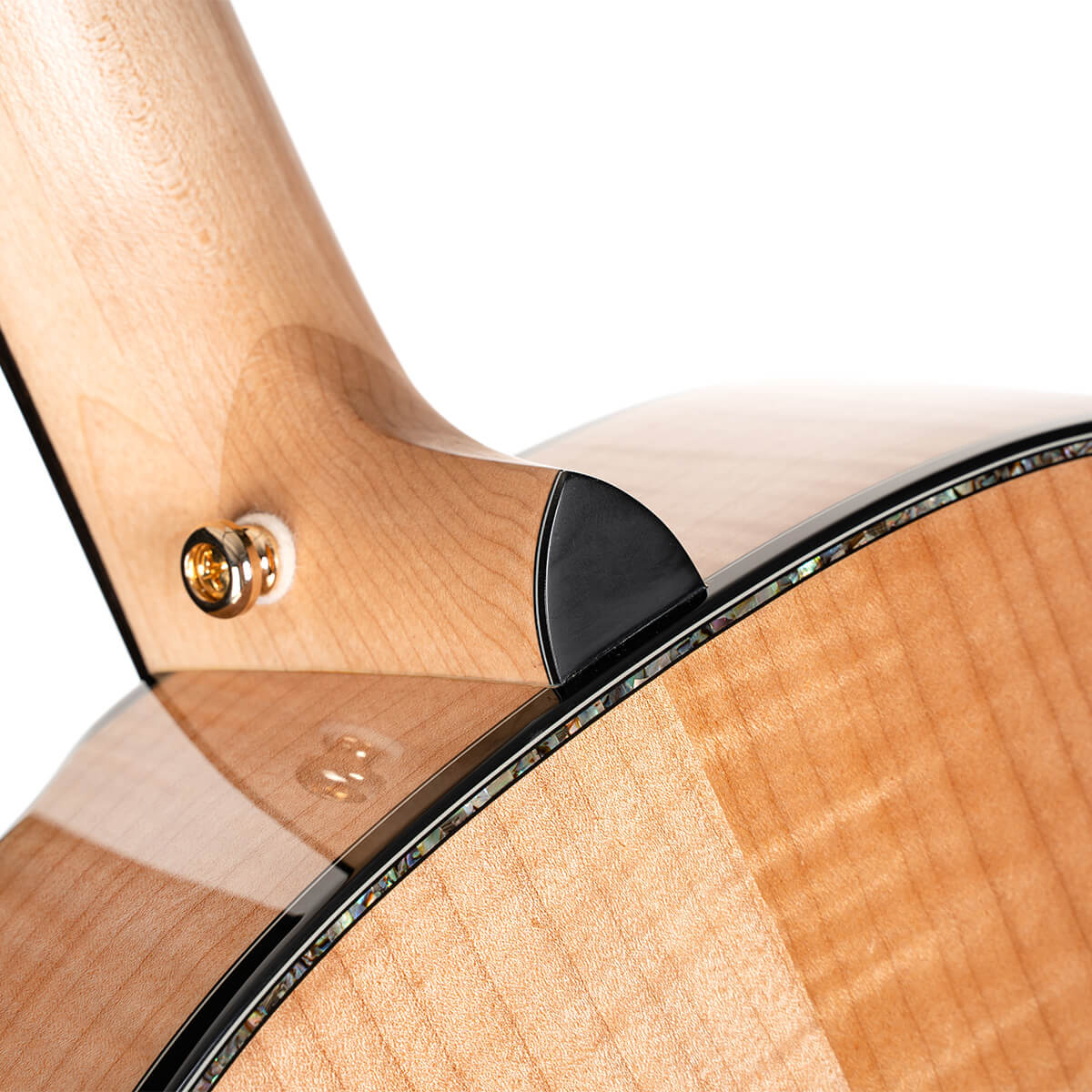 Электроакустическая гитара Cort Gold-Passion-WCASE-NAT Gold Series