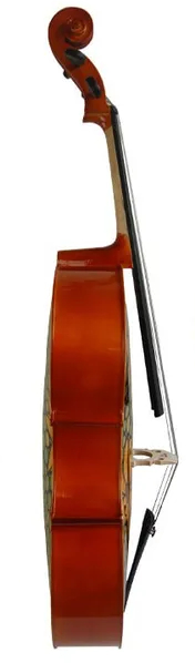 Виолончель KINGLOS HSDT-018