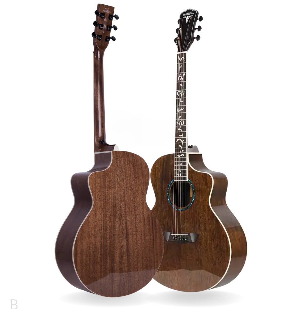 Акустическая гитара BULLFIGHTER D-4013NG BR