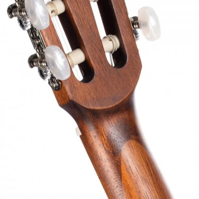 Классическая гитара Cort AC100-SG