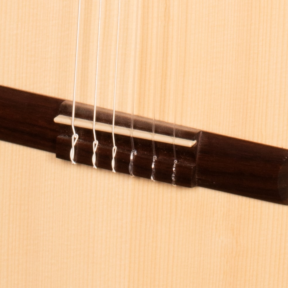 Классическая гитара Hora SM300