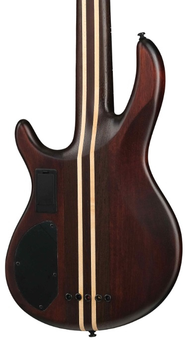 Бас-гитара Cort A5-Ultra-Ash-WCASE-ENB Artisan Series