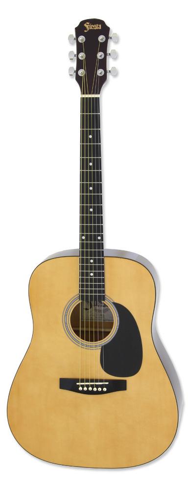 Акустическая гитара ARIA FIESTA FST-300 N