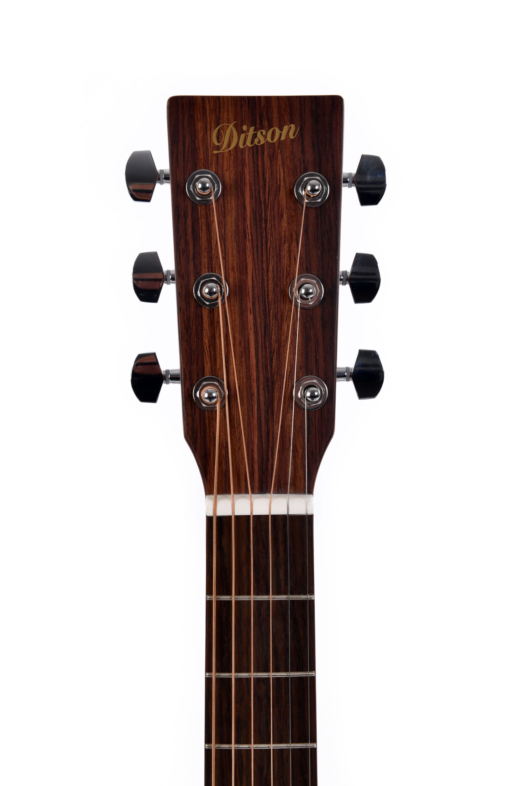 Акустическая гитара Ditson G-10