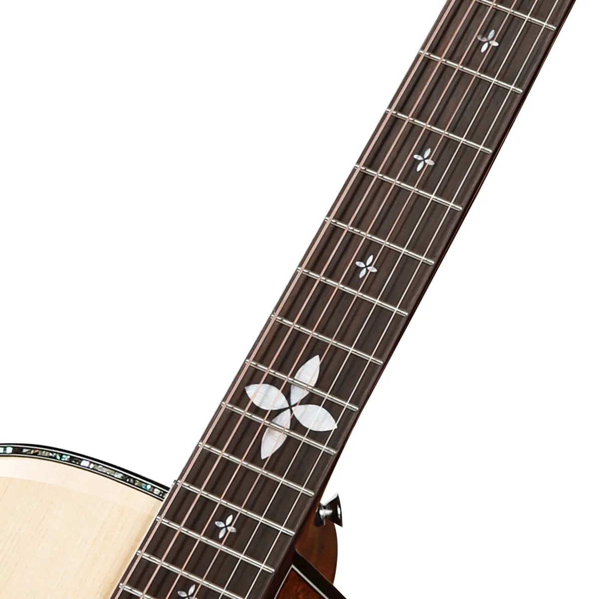 Акустическая гитара BULLFIGHTER D2A NA