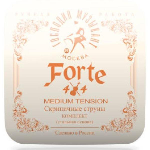 Струны для скрипки Господин Музыкант Forte 4/4 VN-327