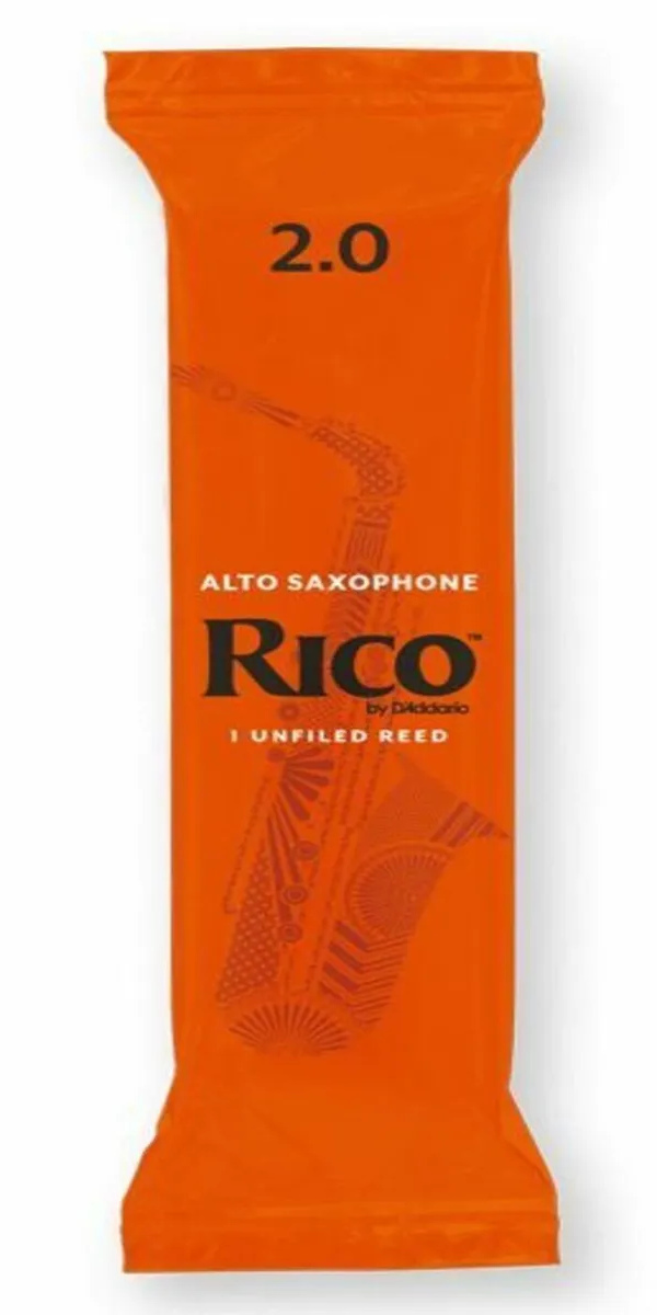 Трости Rico RJA0120-B25