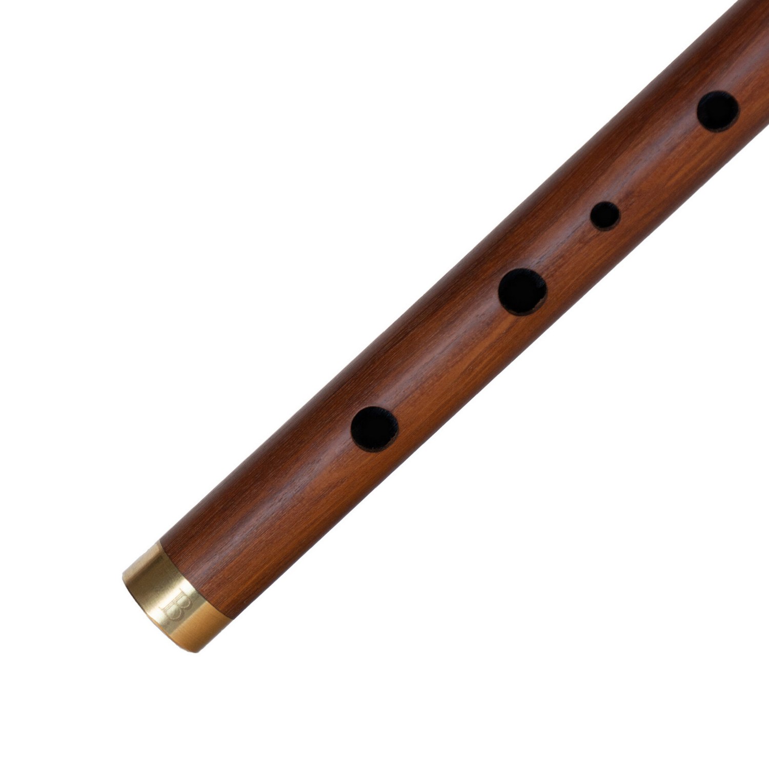 Вистл iVolga VBC-01