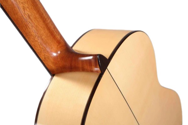 Фламенко гитара ALTAMIRA N300F+ W-CASE