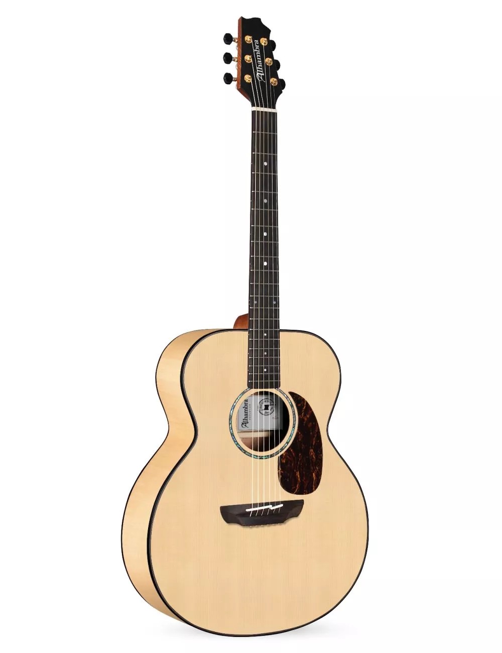 Электроакустическая гитара Alhambra E9 AJ-SM