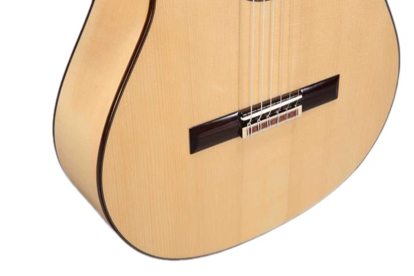 Фламенко гитара ALTAMIRA N300F+ W-CASE