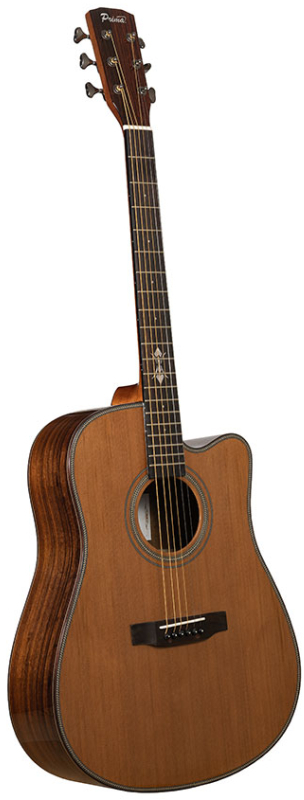 Акустическая гитара PRIMA MAG219C