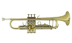 Труба BACH TR-500 
