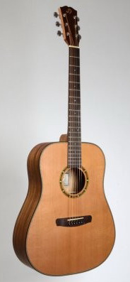 Акустическая гитара Dowina D 222 S