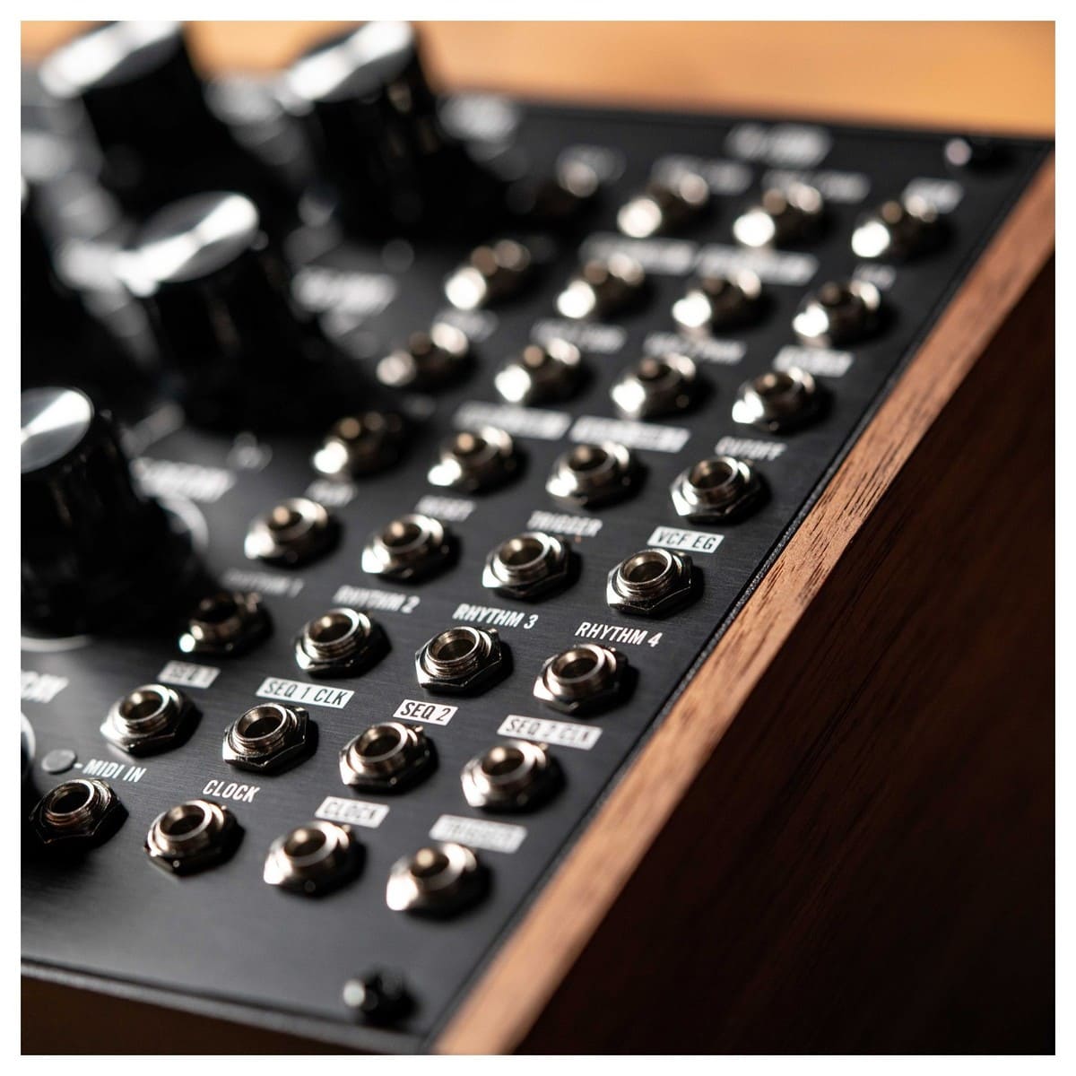 Синтезатор Moog Subharmonicon