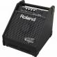 Комбоусилитель ROLAND PM-10