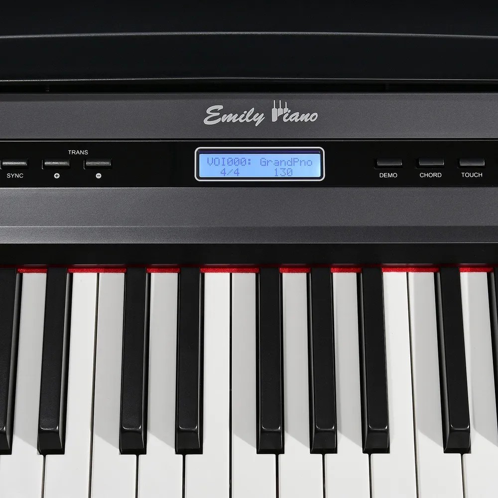 Цифровое пианино EMILY PIANO D-20 BK