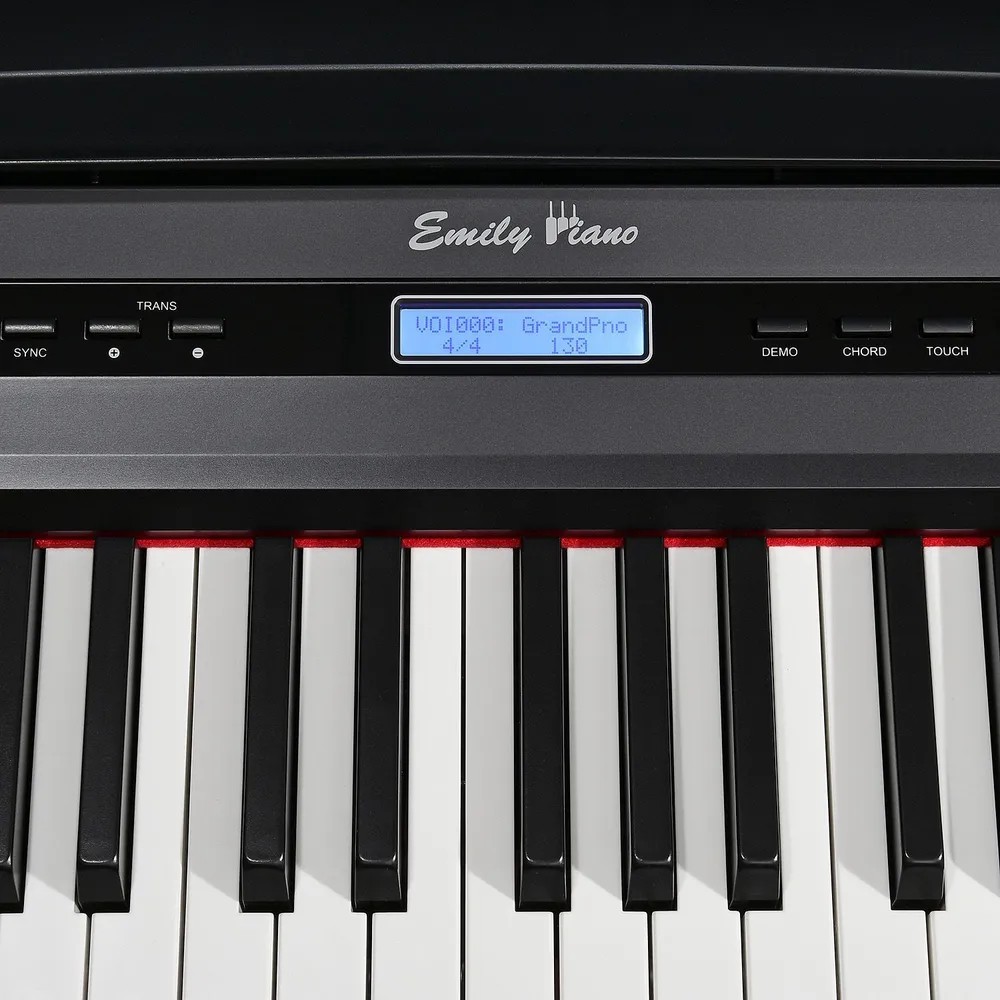 Цифровое пианино EMILY PIANO D-20 BK