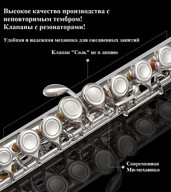 Флейта Eastar EFL-2
