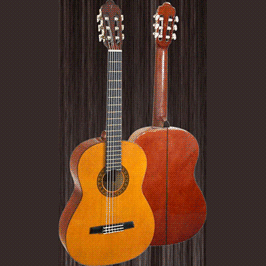 Классическая гитара Valencia CG170w/b