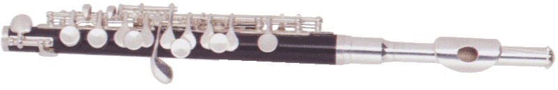 Флейта BRAHNER PF-880S