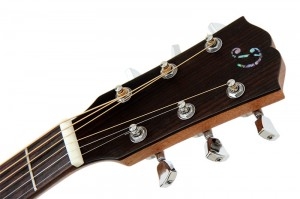 Акустическая гитара Dowina GACE999S-LE