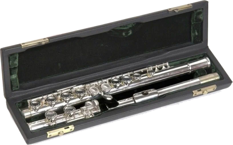 Флейта John Packer JP111