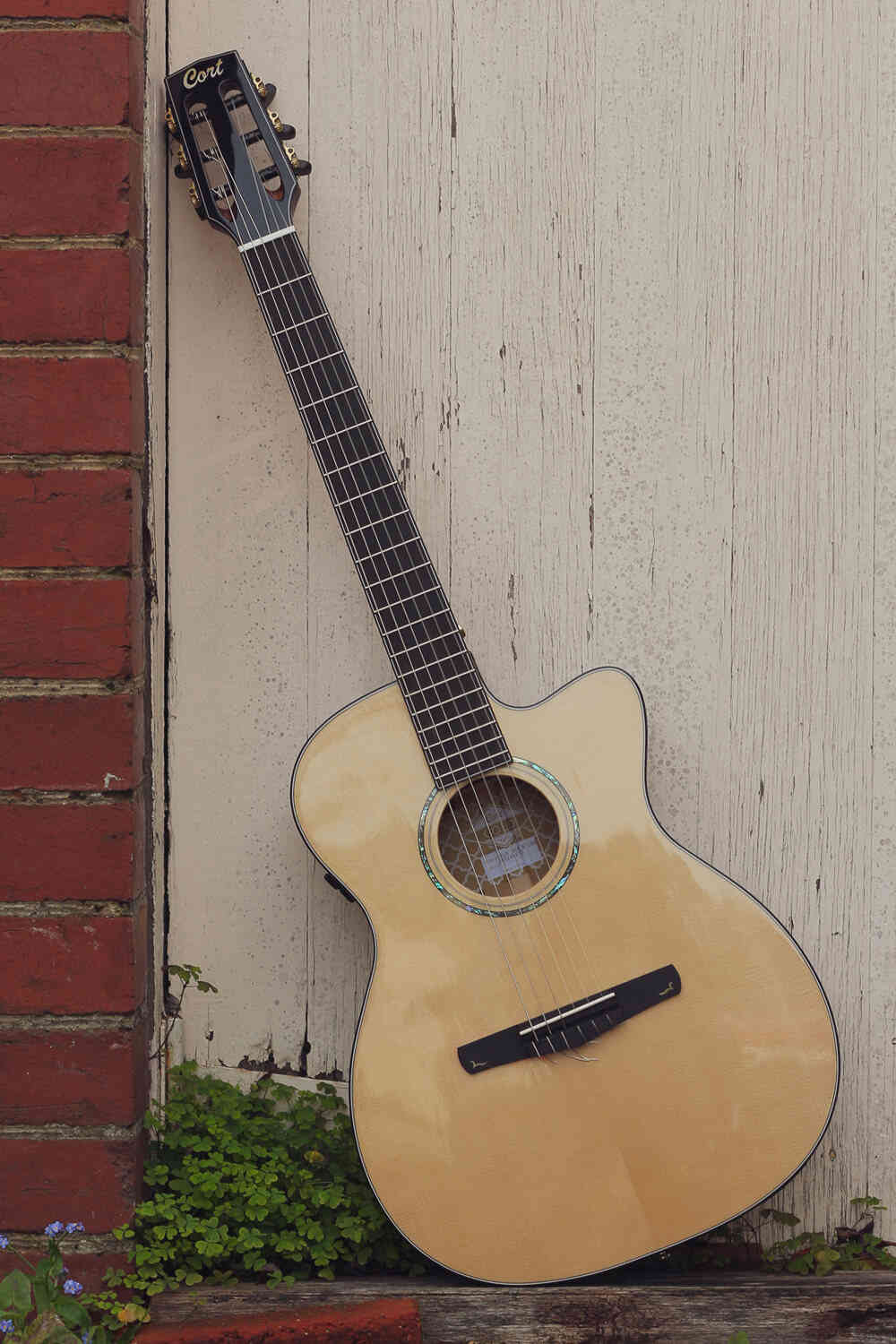 Электроклассическая гитара Cort Gold-OC8-NYLON-WCASE-NAT