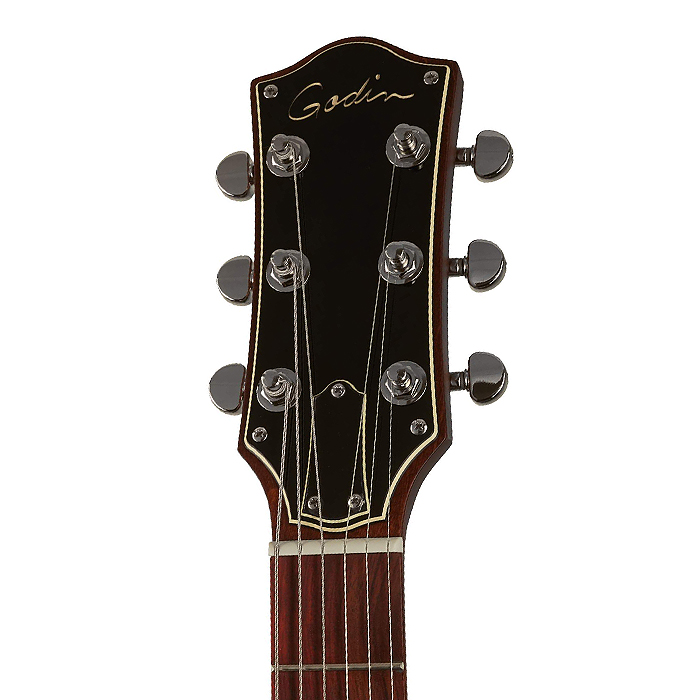 Электрогитара Godin Radiator Matte Black RN