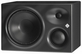 Студийный монитор Neumann KH 310 A R G
