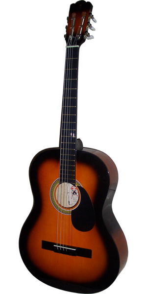 Акустическая гитара Palmer PS-39
