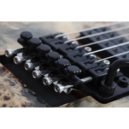 Электрогитара Schecter C-6 PRO FR CB