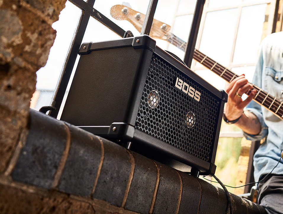 Комбоусилитель BOSS Dual Cube Bass LX